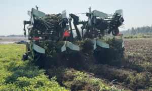 Digger folded